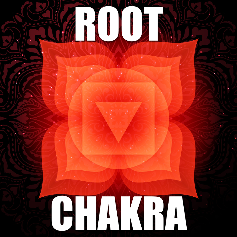 Chakra Series: Root Chakra