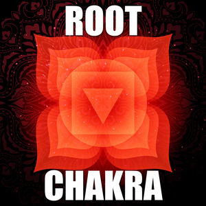 Chakra Series: Root Chakra