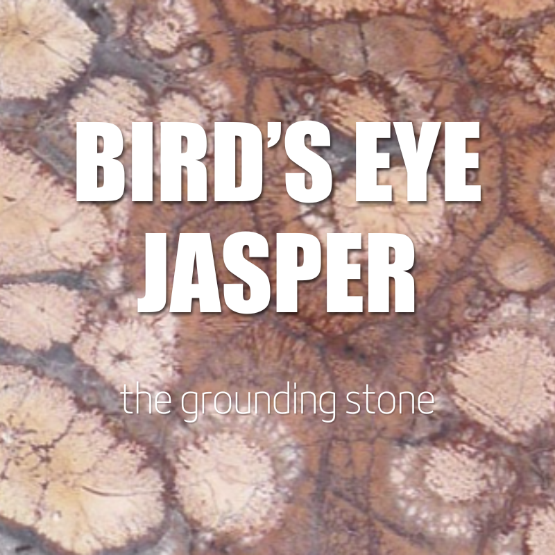 Bird's Eye Jasper