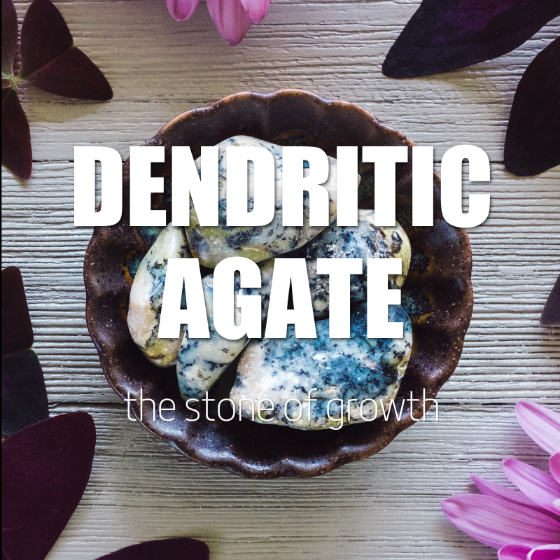 Dendritic Agate