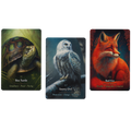 Oracle Cards - Magickal Animal by Anthony Conlin