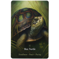 Oracle Cards - Magickal Animal by Anthony Conlin