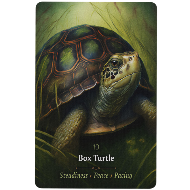 Oracle Cards - Magickal Animal by Anthony Conlin