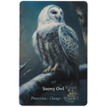 Oracle Cards - Magickal Animal by Anthony Conlin