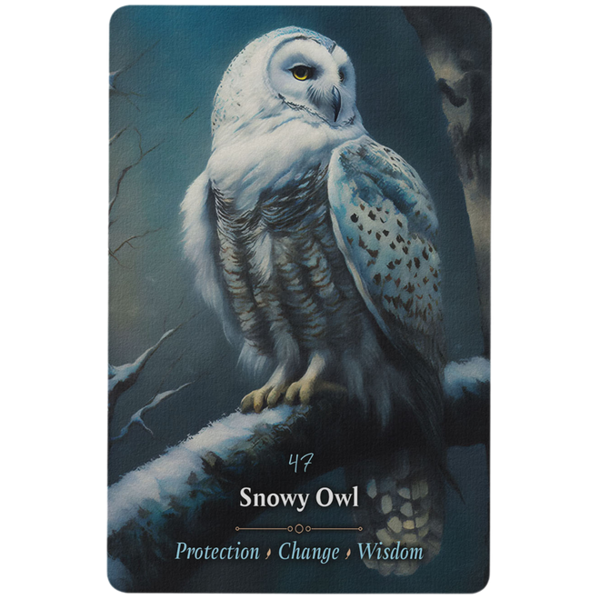 Oracle Cards - Magickal Animal by Anthony Conlin