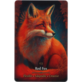 Oracle Cards - Magickal Animal by Anthony Conlin