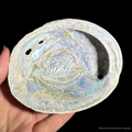 Abalone Shell for Burning Sage, Incense, or Smudge