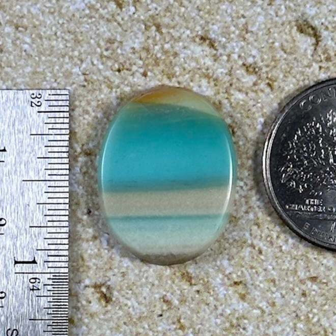 Blue Opal Petrified Wood Cab Cabochon