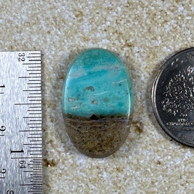 Blue Opal Petrified Wood Cab Cabochon