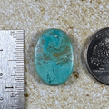 Blue Opal Petrified Wood Cab Cabochon