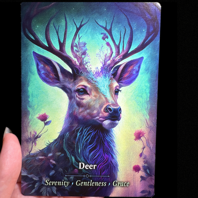 Deer Oracle Meaning Serenity Gentleness Grace