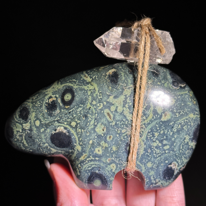 Green Stromatolite Jasper Prosperity Kambaba Stone for Crystal Grids