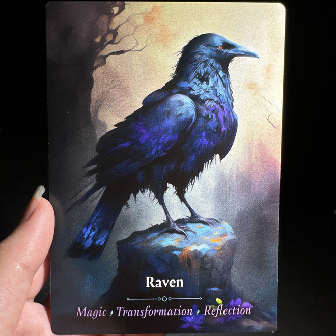 Raven Oracle Card Meaning Magic Transformation Reflection