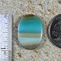 Blue Opal Petrified Wood Cab Cabochon