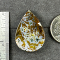 Ocean Jasper Sea Jasper Green Stone Calming