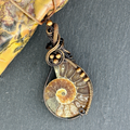 Ammonite Fossil Metaphysical Properties